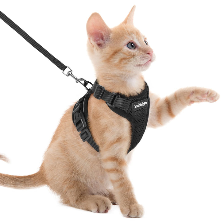 rabbitgoo Cat Harness and Leash Set, Escape Proof Vest, Black