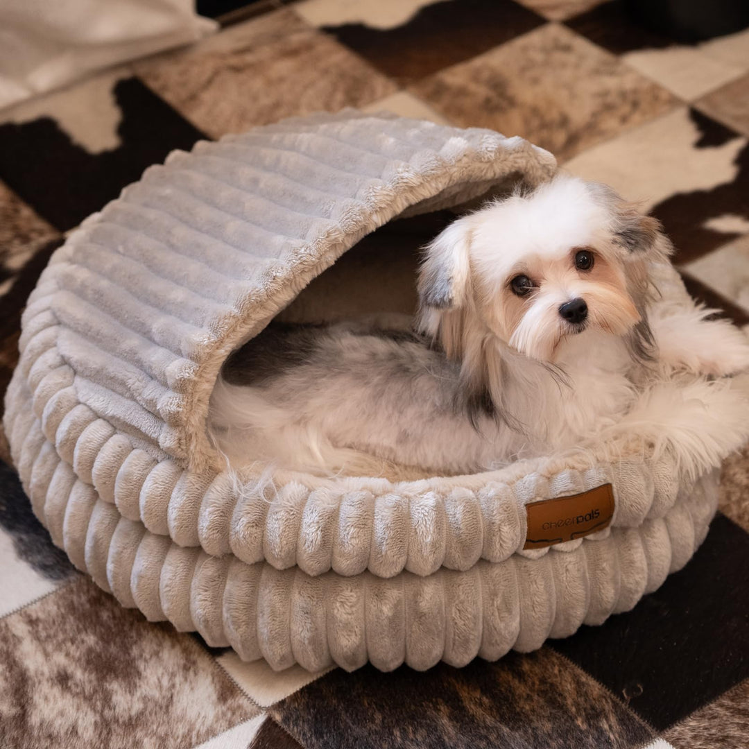 CHEERPALS Cat Cave Bed for Indoor Cats Covered Hooded Pet Bed with Cushion