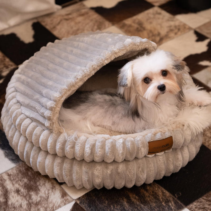 CHEERPALS Cat Cave Bed for Indoor Cats Covered Hooded Pet Bed with Cushion