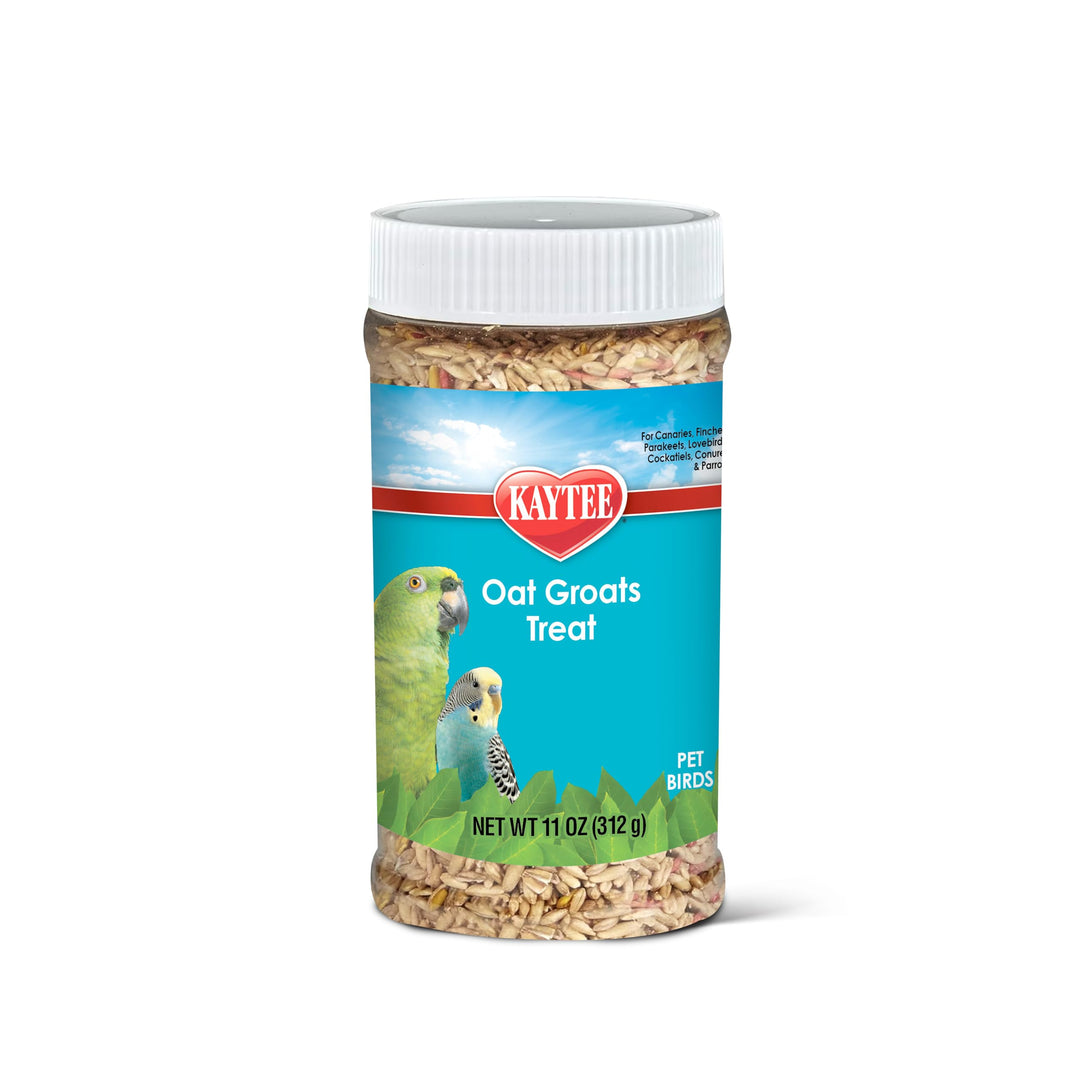 Kaytee Oat Groats Treat Jar for Pet Birds, 11 Ounces