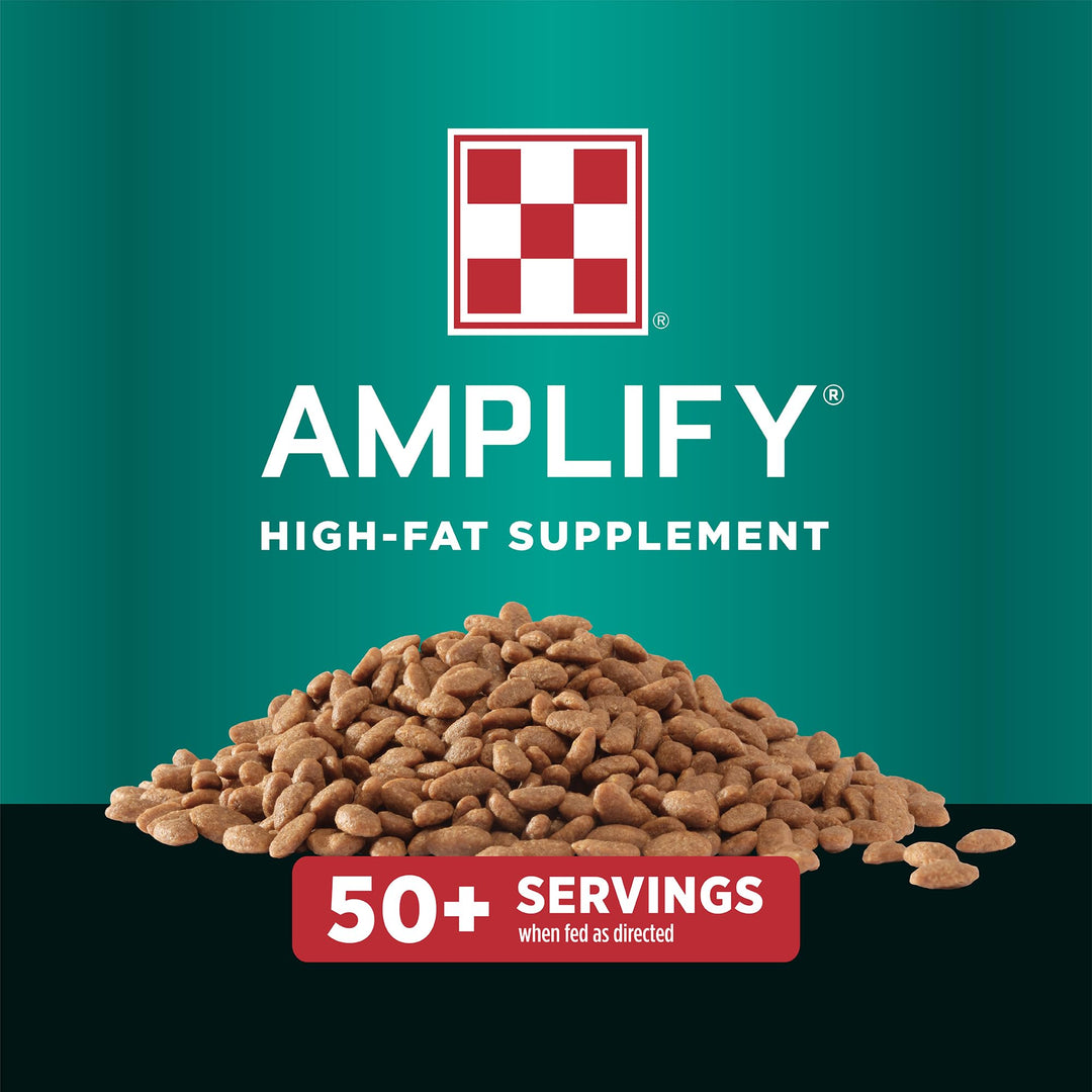 Purina, Amplify Equine, High-Fat Horse Supplement for Maintenance, Breeding, &amp; Performance Horses, 50 lbs
