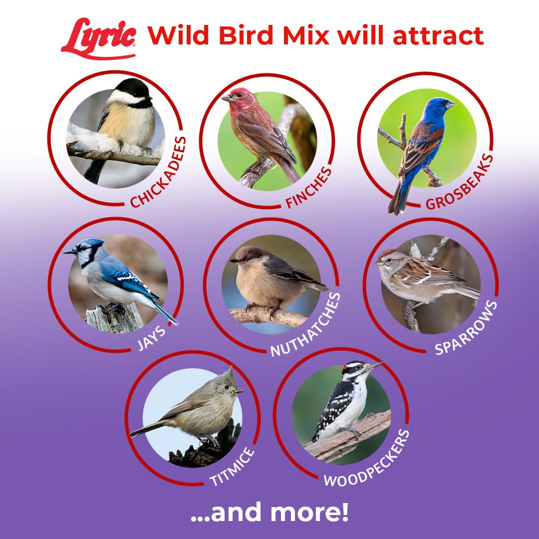 Lyric Wild Bird Mix - Includes Corn, Nuts, and Wild Bird Seed for Outside Feeders, Attracts Doves, Jays and Many More, 40 lb Bag