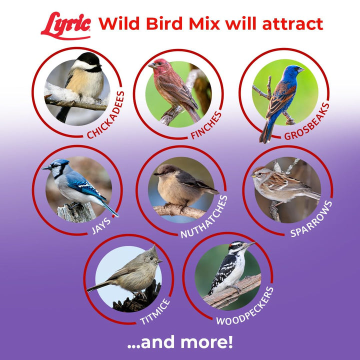 Lyric Wild Bird Mix - Includes Corn, Nuts, and Wild Bird Seed for Outside Feeders, Attracts Doves, Jays and Many More, 40 lb Bag
