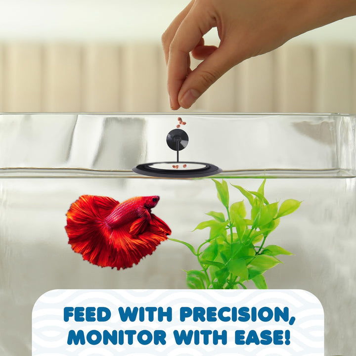 SunGrow Betta Feeding Ring with Suction Cup for Guppy &amp; Small Fish, 1 Pc