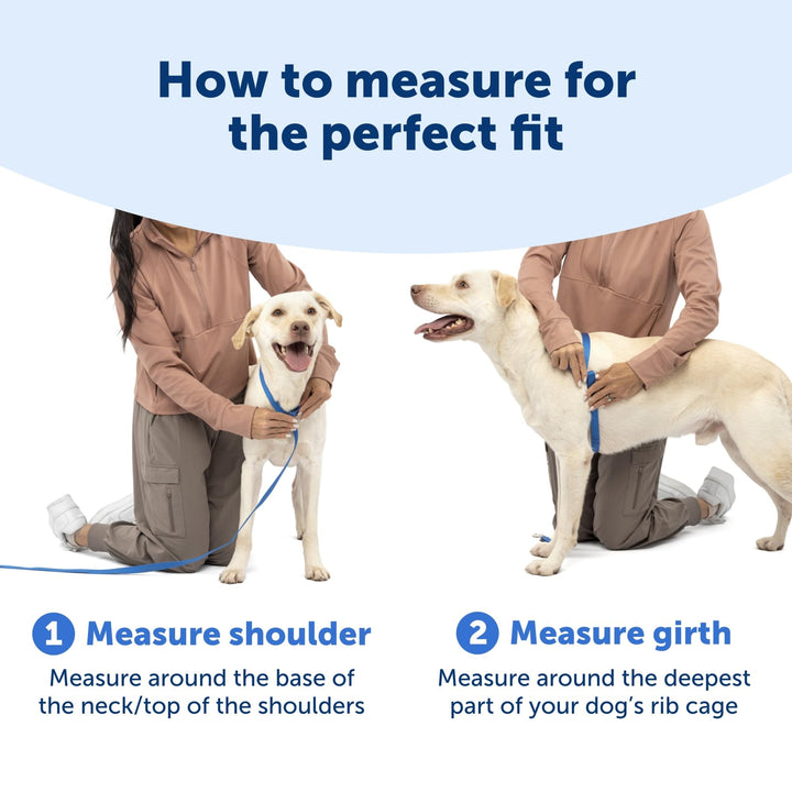 PetSafe Easy Walk Comfort No Pull Dog Harness, Blue, Medium