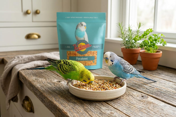 Volkman Avian Science Super Parakeet Bird Food 4lb