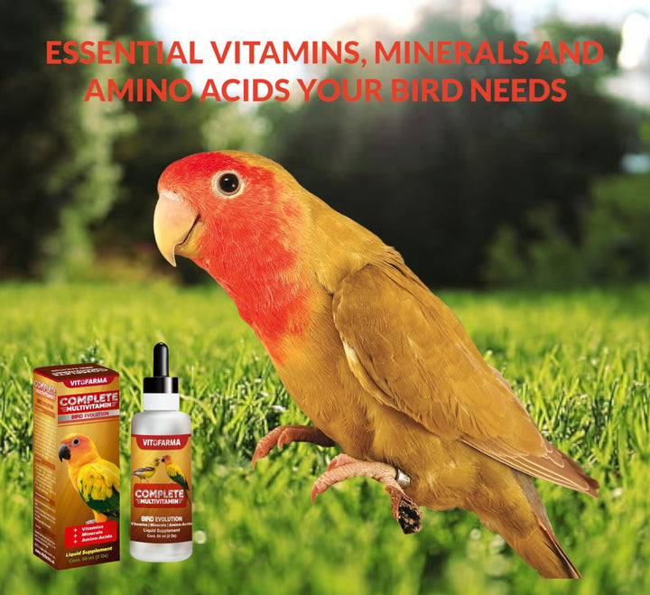 VITOFARMA Multi-Vitamin for Birds, High-Potency Vitamin &amp; Mineral Supplement for Pet Birds 2.0 Ounce
