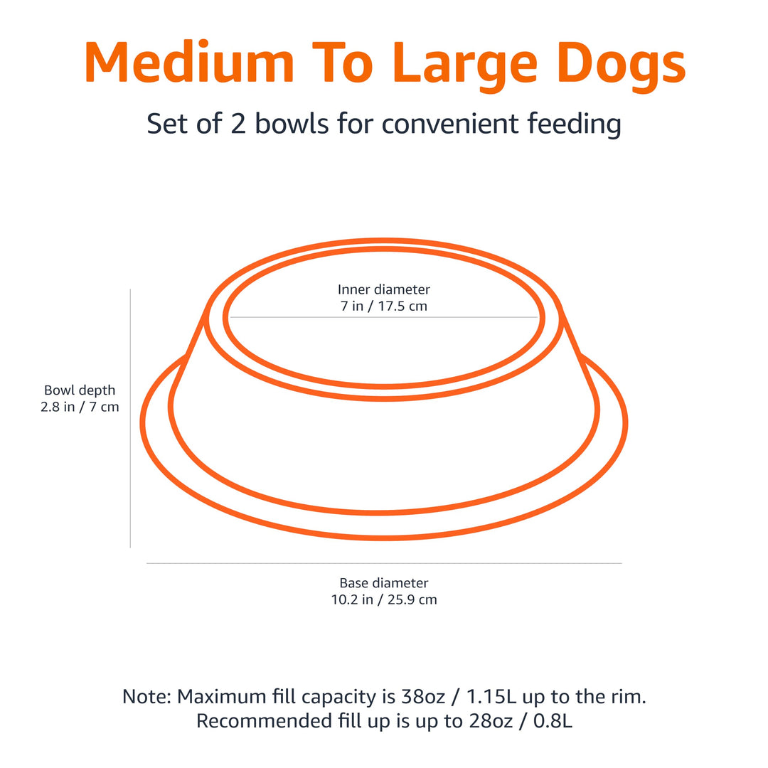 Amazon Basics Stainless Steel Non-Skid Dog Water And Food Bowls, Dishwasher Safe, Rust Resistant, 38oz Capacity, 10 x 2.8 Inches, 2-Pack
