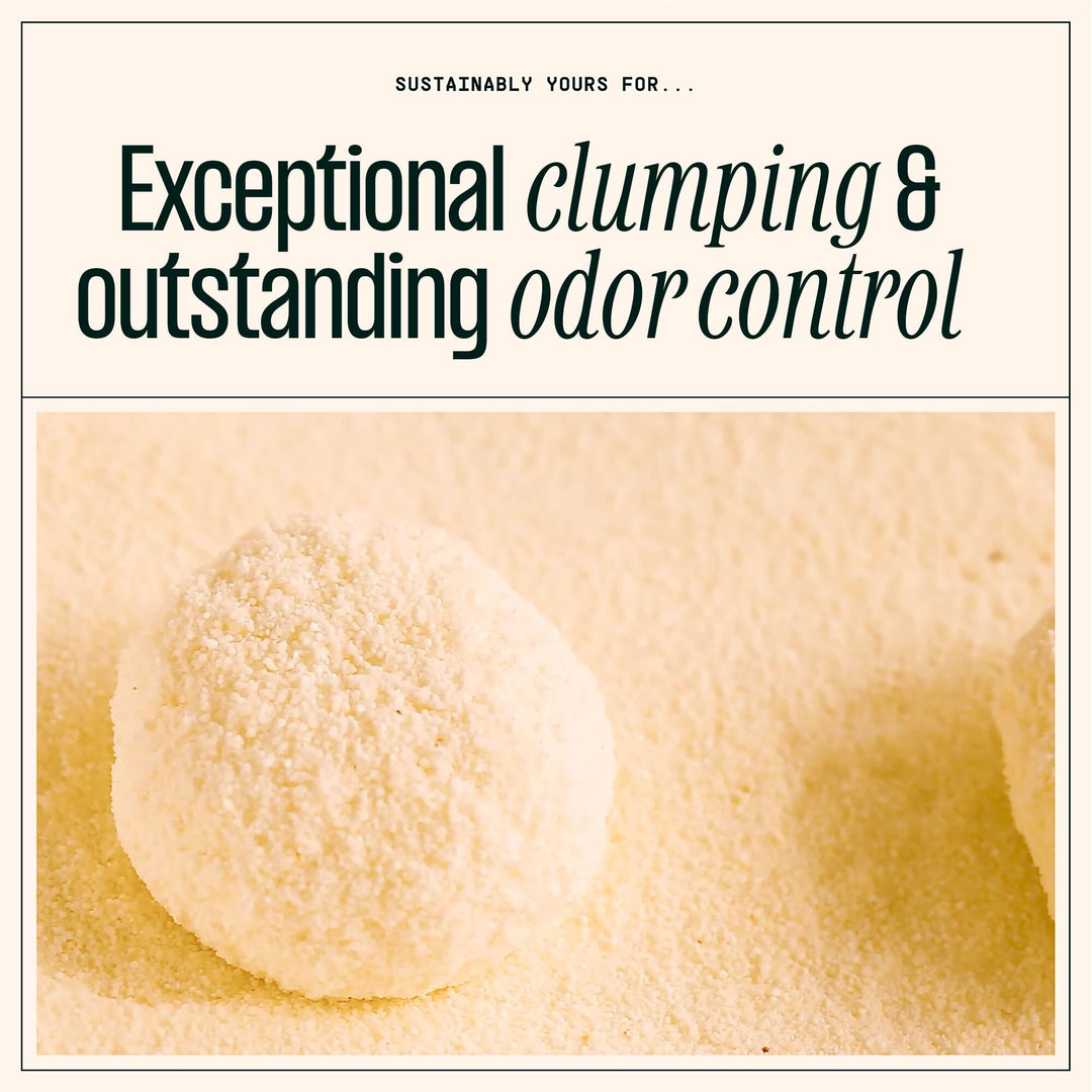 Sustainably Yours Natural Cat Litter, Small-Grain Formula, Exceptional Clumping &amp; Odor Control, Virtually No Dust, Soft on Paws, Corn &amp; Cassava Plant-Based, Unscented, 10 lbs