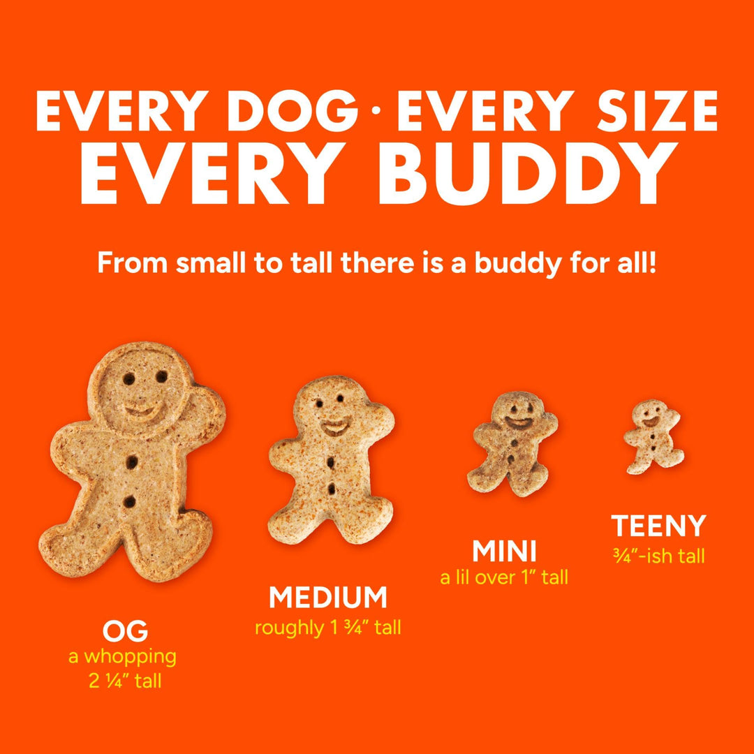 Buddy Biscuits Mini Soft &amp; Chewy Dog Treats, Peanut Butter, 20 oz Jar