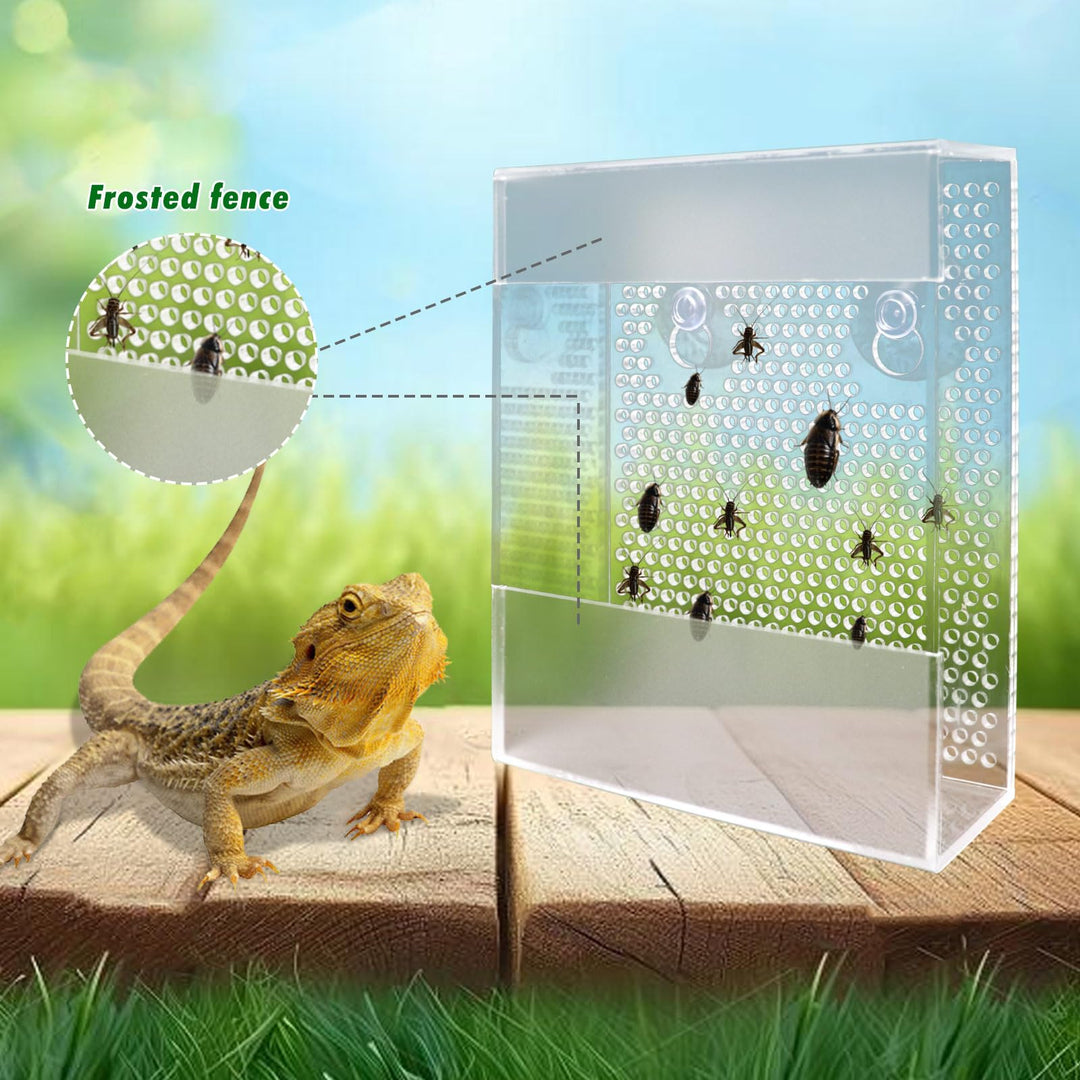 Transparent Acrylic Reptile Feeder Box, Wall-Mounted Insect Feeder with Suction Cups, Tank and Aquarium Accessories for Bearded Dragon, Lizard, Gecko, Frog