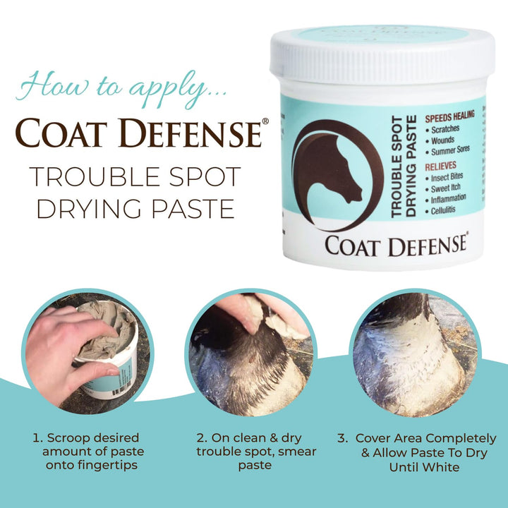 COAT DEFENSE Trouble Spot Drying Paste for Horses - Natural Equine Wound Care That Provides Safe &amp; Effective Relief from Scratches, Sweet Itch, Summer Sores, Proud Flesh, Mud Fever, Girth Rot (10 Oz)