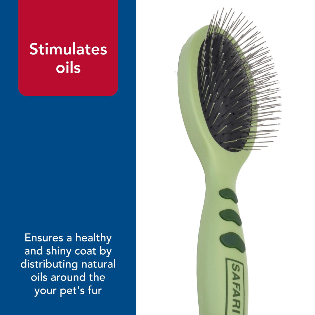 Coastal Pet Safari Wire Pin Brush with Plastic Handle, Large