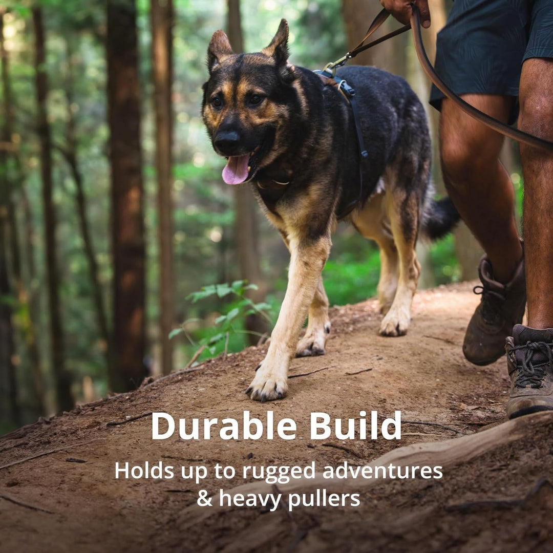 Ruffwear, Front Range Dog Chest Harness, Basalt Gray, Medium