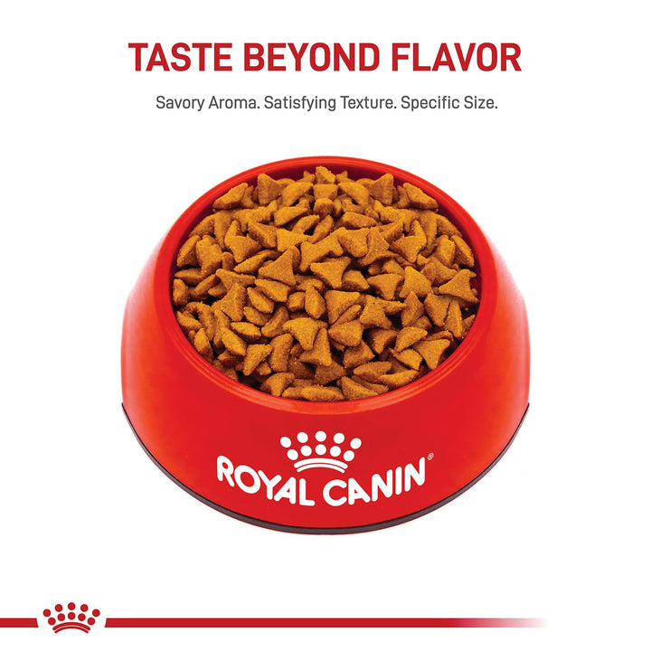Royal Canin Feline Care Nutrition Hairball Care Adult Dry Cat Food, 6 lb Bag