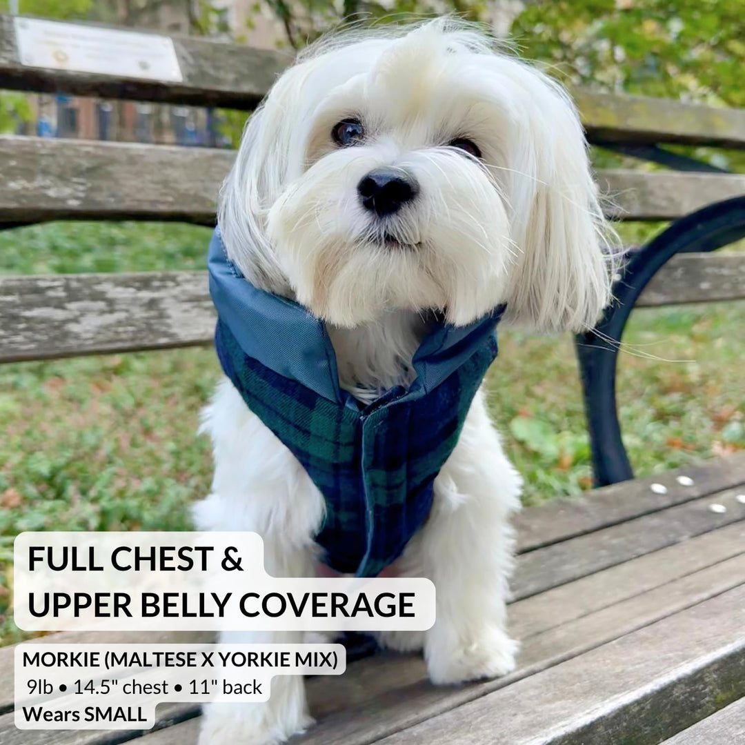 DJANGO Reversible Puffer Dog Coat &amp; Warm Winter Jacket - Blue, Medium
