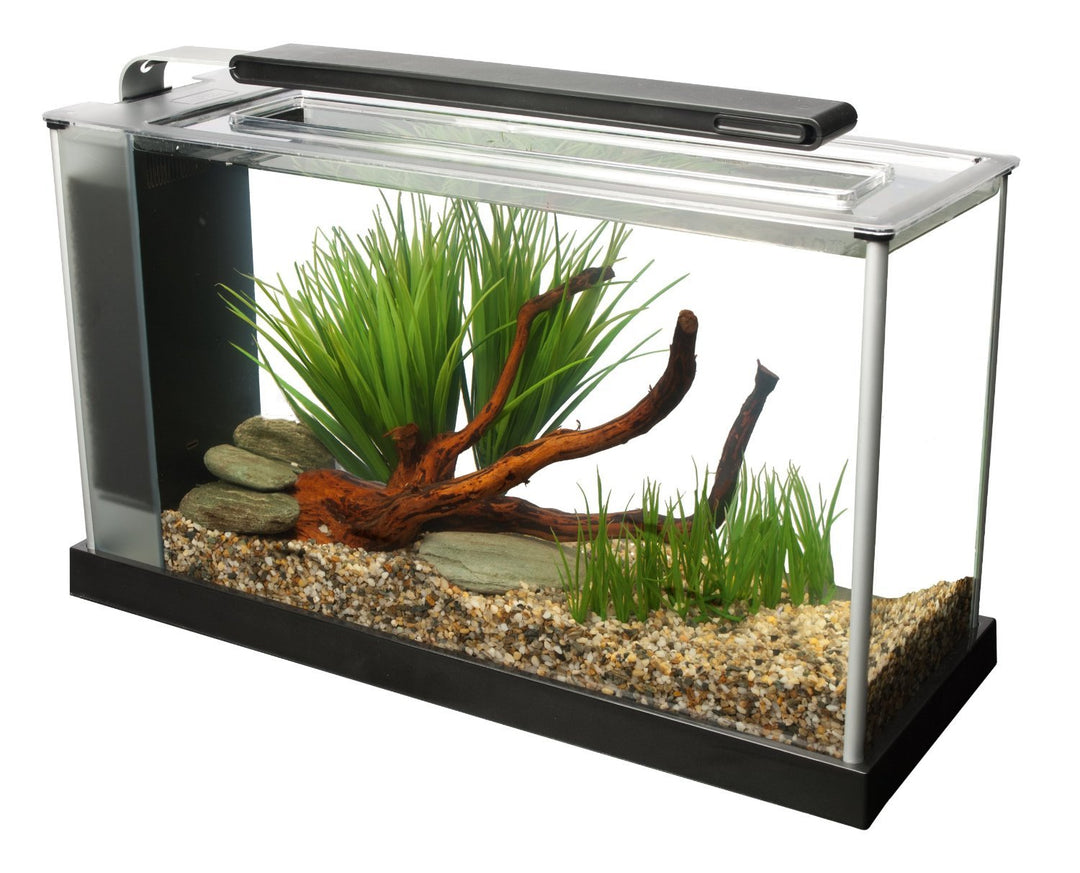 Fluval SPEC Aquarium Kit, 5-Gallon