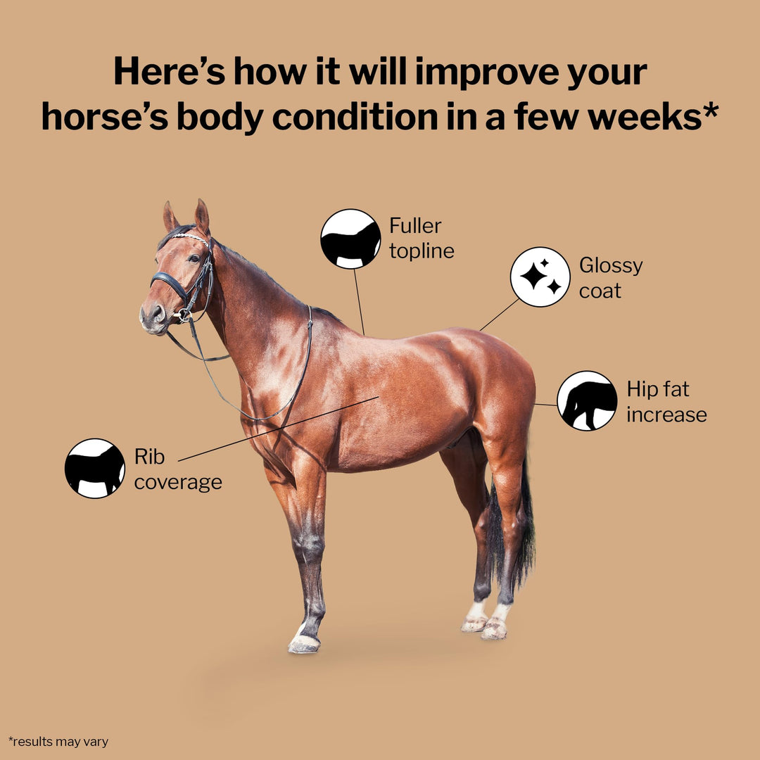 Formula 707 Weight Gain Crumble for Horses, 7 lb – Calorie-Rich Support