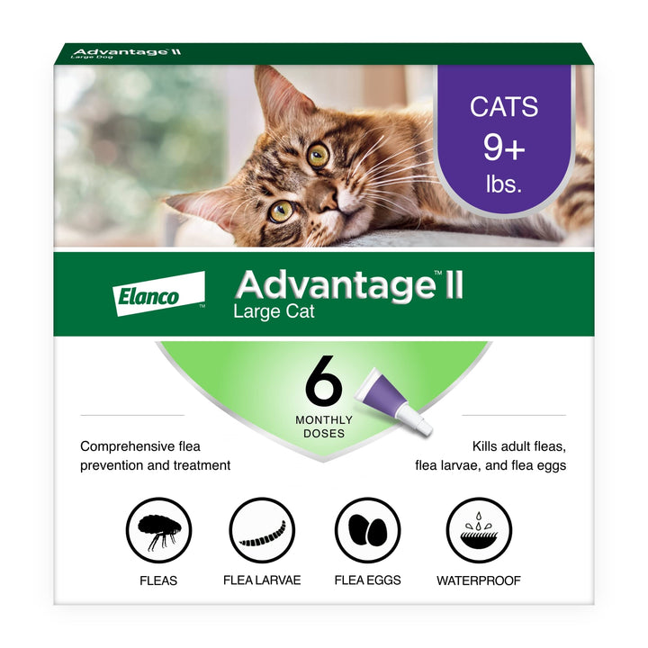 Advantage II Large Cat Topical Flea Treatment &amp; Prevention, 6ct
