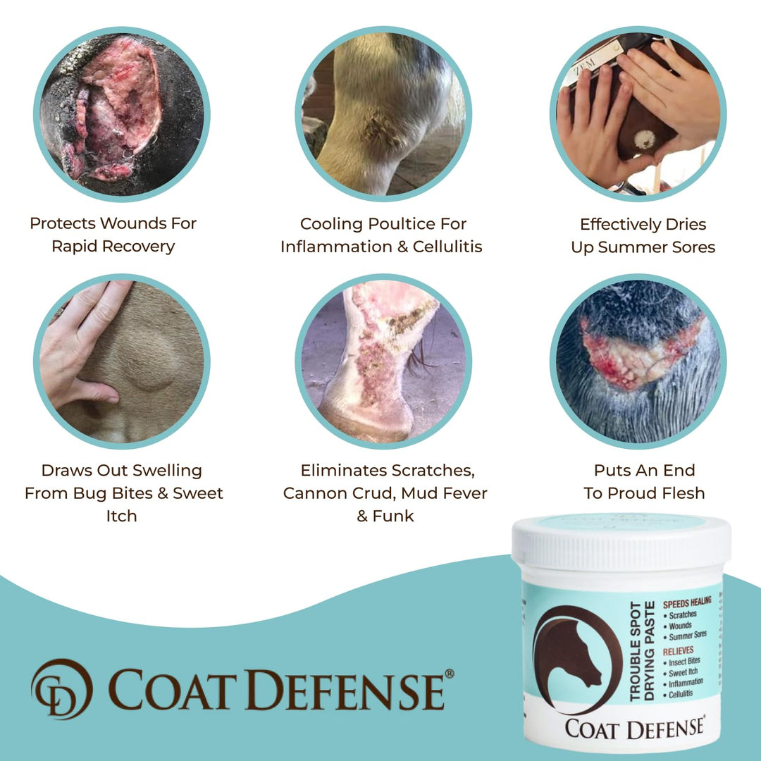 COAT DEFENSE Trouble Spot Drying Paste for Horses - Natural Equine Wound Care That Provides Safe &amp; Effective Relief from Scratches, Sweet Itch, Summer Sores, Proud Flesh, Mud Fever, Girth Rot (10 Oz)