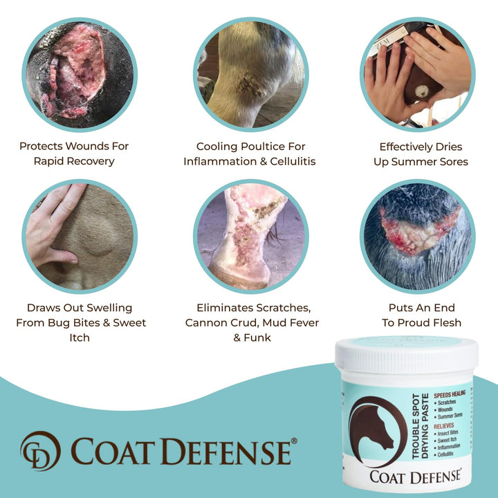 COAT DEFENSE Trouble Spot Drying Paste for Horses - Natural Equine Wound Care That Provides Safe &amp; Effective Relief from Scratches, Sweet Itch, Summer Sores, Proud Flesh, Mud Fever, Girth Rot (10 Oz)