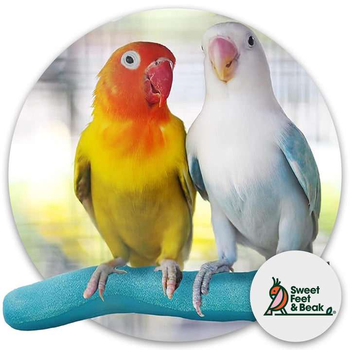Sweet Feet and Beak Safety Pumice Bird Perch, Large Pedicure Perch, Blue