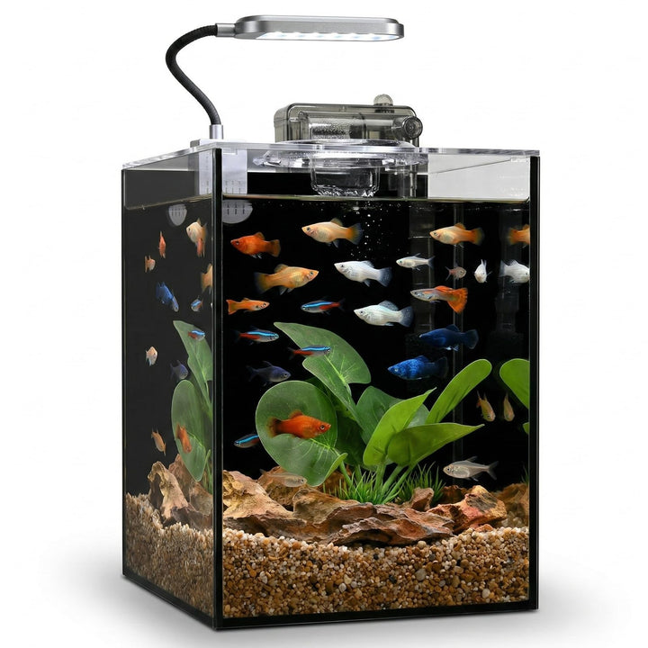 Ahua Walsong 2.2 Gallon Small Fish Tank, Beta Fish Aquariums Starter Kits with Nano Clip-on LED, Waterfall Filter Pump, Plants, Gravel and Rock, Perfect for Small Fish, Shrimp, or Betta (with Lid)
