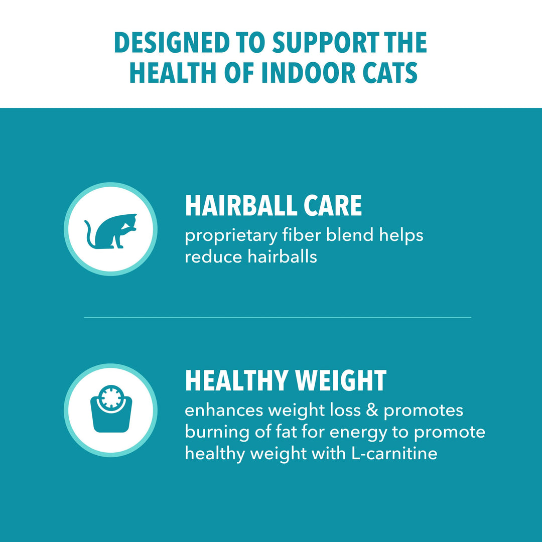 IAMS Proactive Health Indoor Dry Cat Food, Salmon, 16 lb