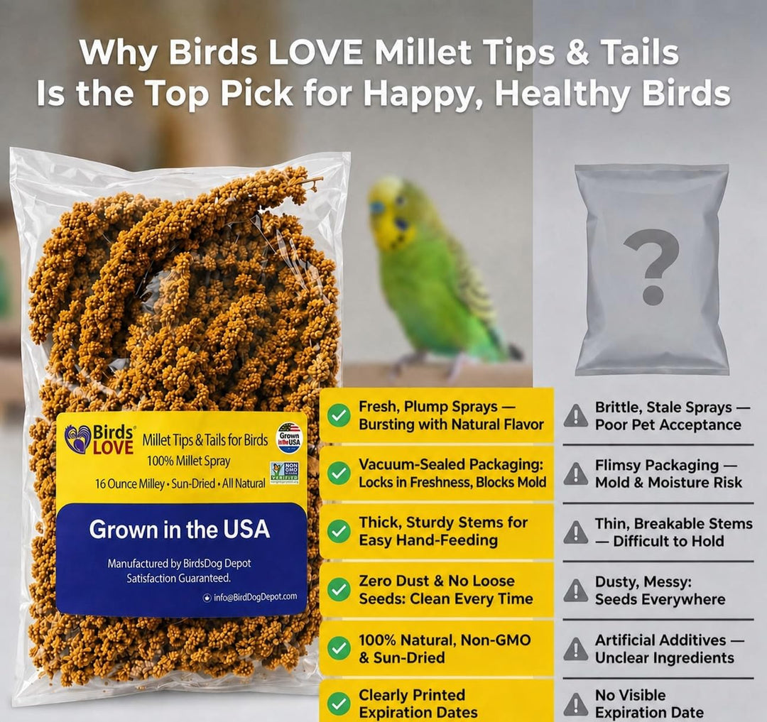 Birds LOVE® Millet Tips &amp; Tails for Birds – Premium Spray Millet Treat, Non-GMO, USA Grown – Natural Bird Food for Parakeets, Cockatiels, Budgies, Lovebirds, Finches, Canaries &amp; Parrots – 1 lb