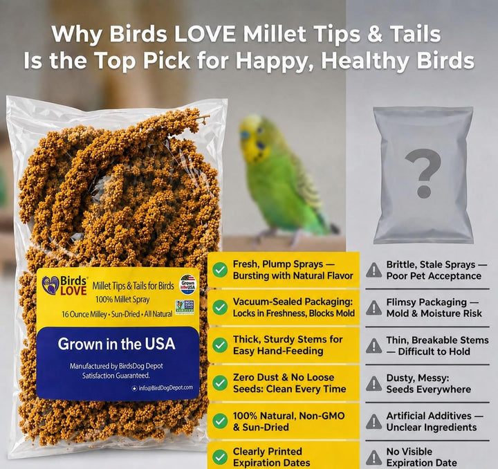 Birds LOVE® Millet Tips &amp; Tails for Birds – Premium Spray Millet Treat, Non-GMO, USA Grown – Natural Bird Food for Parakeets, Cockatiels, Budgies, Lovebirds, Finches, Canaries &amp; Parrots – 1 lb
