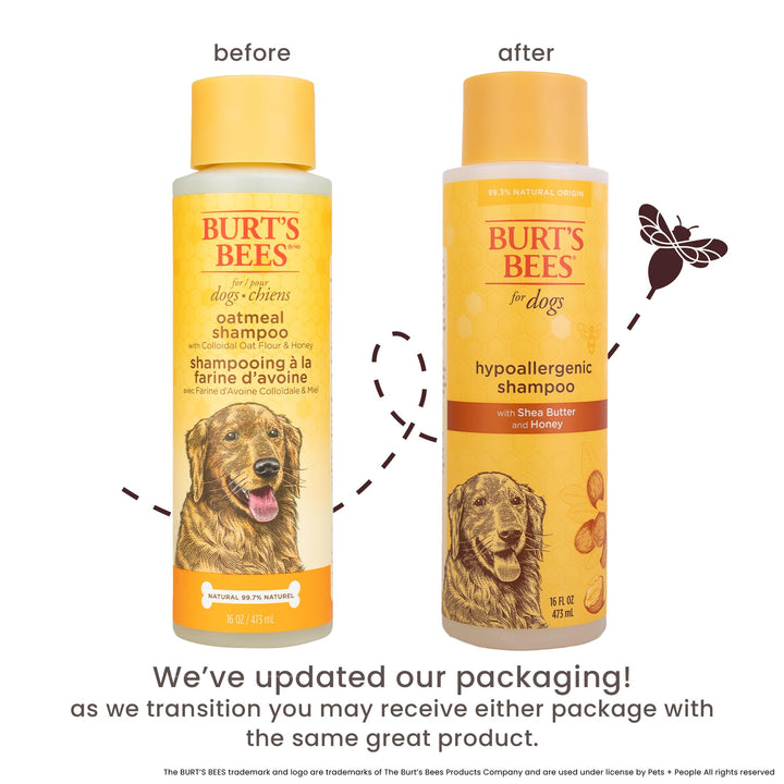 Burts Bees for Pets Hypoallergenic Dog Shampoo, Shea Butter Honey, 16 Fl Oz