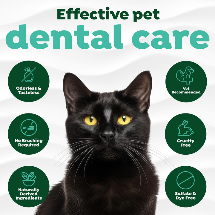 TropiClean Fresh Breath Water Additive for Cats, Cat Breath Freshener, 16oz