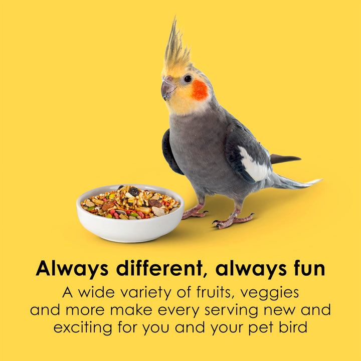 Kaytee Fiesta Cockatiel Bird Food, Nutritious Fun Blend, 4.5 Pounds