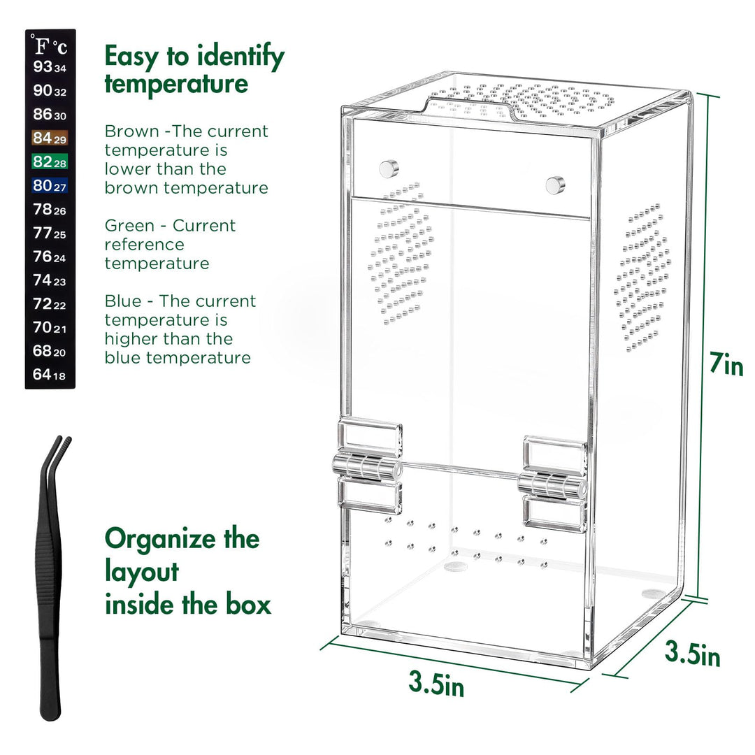 CourtyardAid Pre-Assembled Jumping Spider Enclosure, All-Side Ventilation