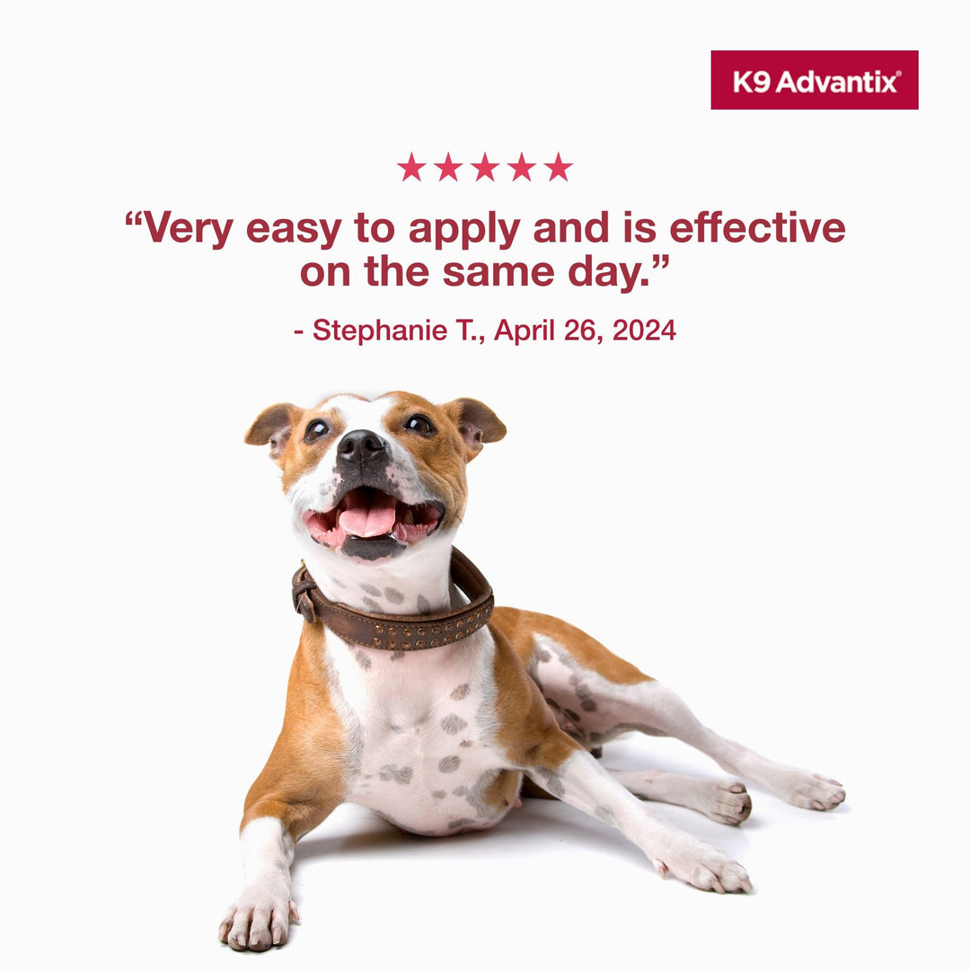 K9 Advantix Flea, Tick &amp; Mosquito Prevention for Dogs 21-55 lbs. | Flea Drops for Large Dogs | Apply Monthly | 4 Treatments (Pack of 2)