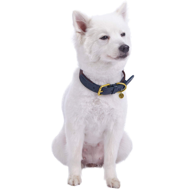 Blueberry Pet Soft Genuine Leather Dog Collar for Small Dogs - Adjustable Stylish Dog Collars, Leather Dog Collar in Noir Grey/Burgundy - Eco Brass Buckle, Size 12&