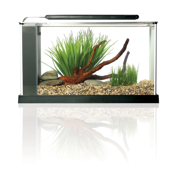 Fluval SPEC Aquarium Kit, 5-Gallon