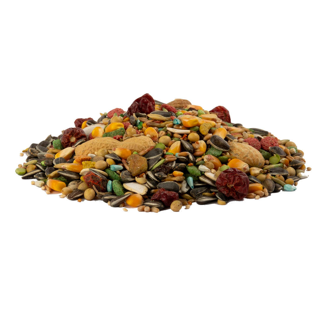 Wild Harvest Advanced Nutrition Bird Food For Parrots, 4 lbs