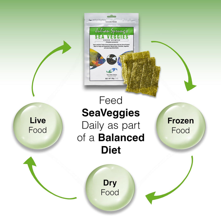 Two Little Fishies Atlsvgs4 Sea Veg-Green Seaweed, 1 Oz (Pack of 2)