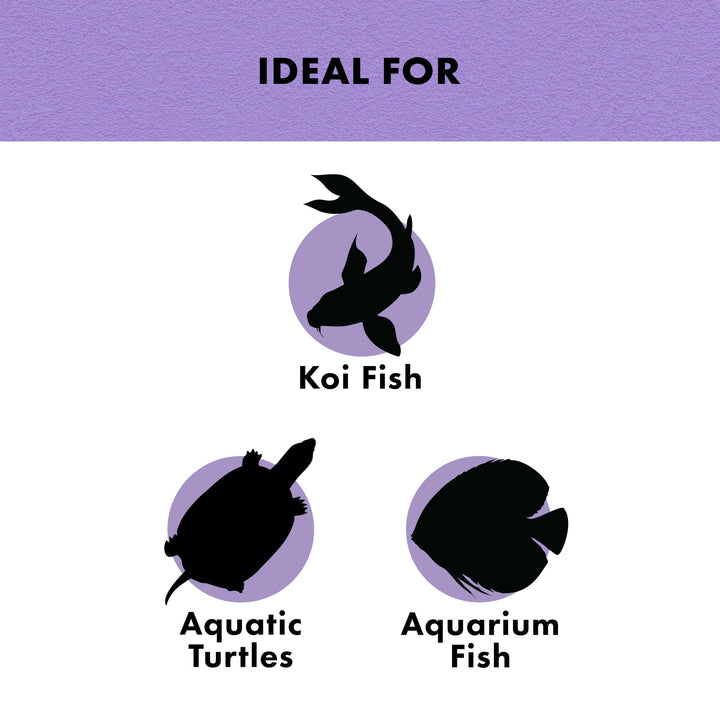 Zilla Turtle Chasers Floating Treats, Turtle Food, Made with Real Shrimp