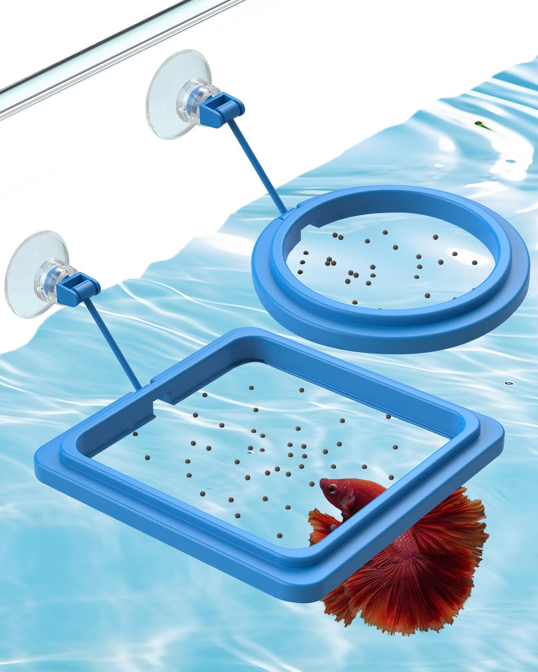 Pawfly 2 Pcs Fish Feeding Ring for Aquarium – Round and Square Floating Food Feeder with Suction Cup for Betta, Goldfish, Guppy, Turtle &amp; Small Fish