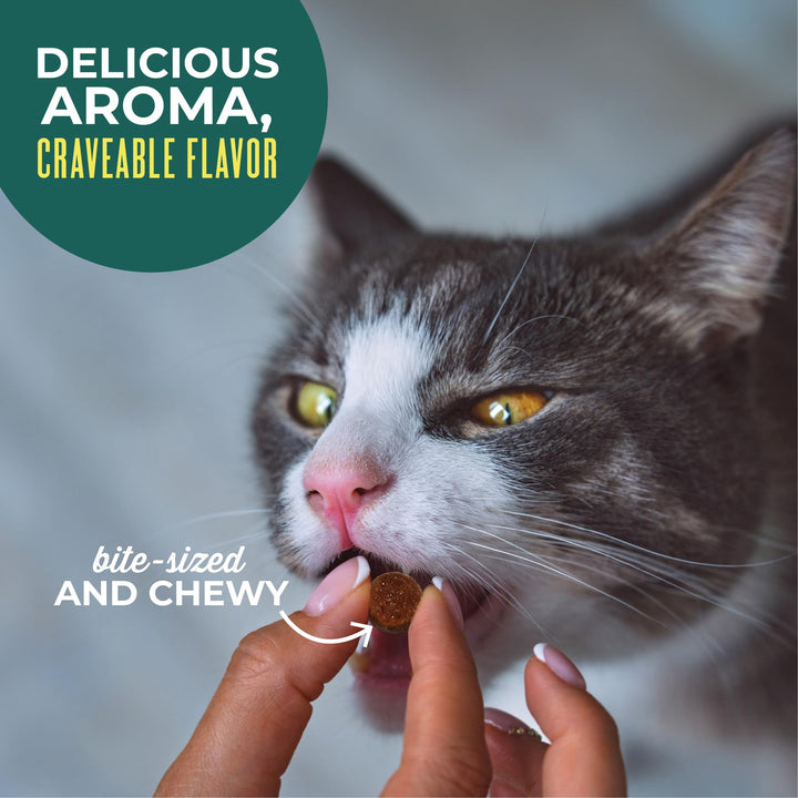 Tiki Cat Soft &amp; Chewy Treats, Tuna Flavor, 3 Calories Per Treat with Grain-Free and No Added Gluten, 6 oz Pouch (Pack of 1)