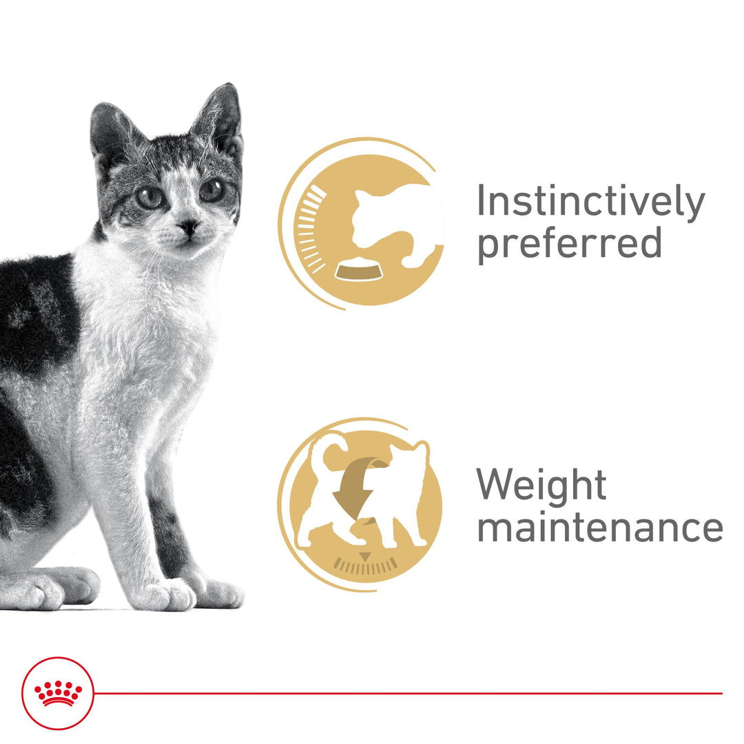 Royal Canin Feline Health Nutrition Adult Instinctive Adult Thin Slices in Gravy Cat Food, 3 oz (Pack of 12)