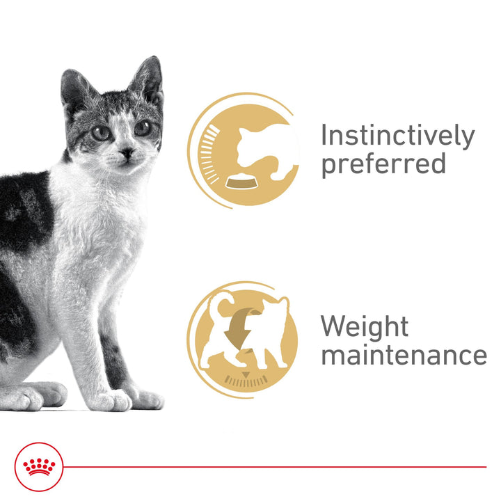 Royal Canin Feline Health Nutrition Adult Instinctive Adult Thin Slices in Gravy Cat Food, 3 oz (Pack of 12)