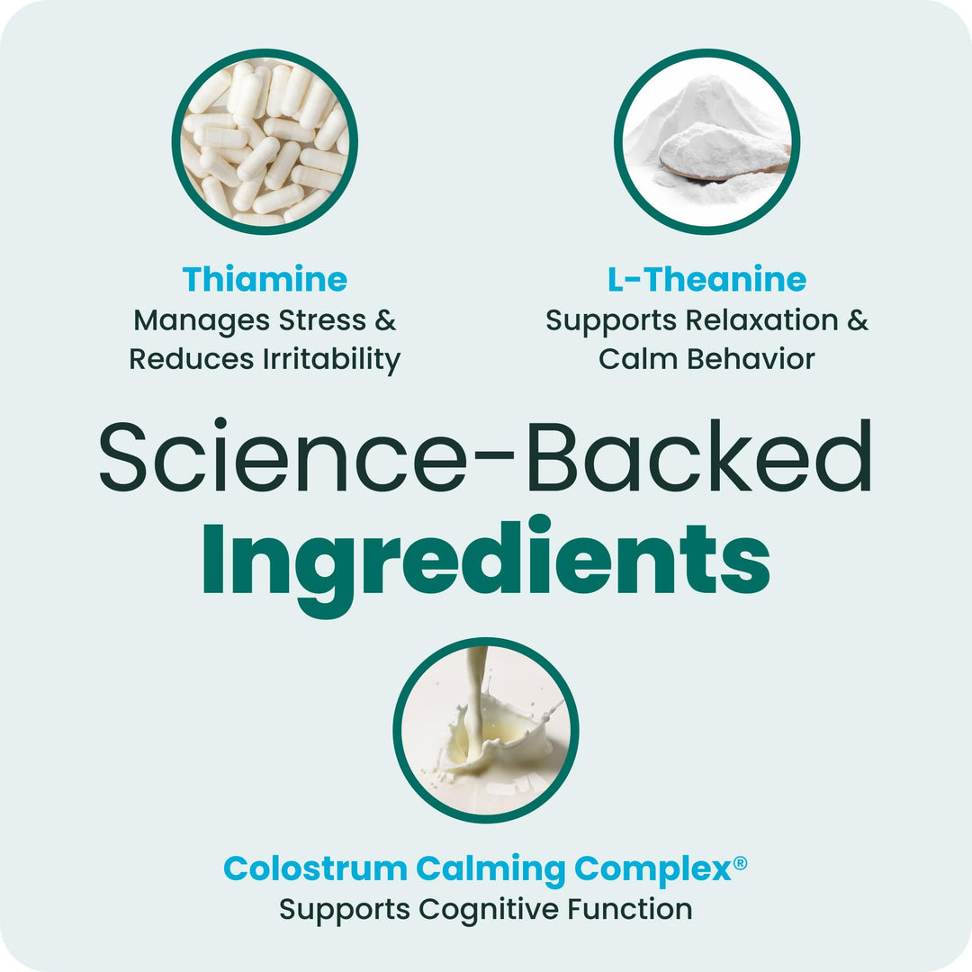 VetriScience Calm &amp; Confident Chews for Dogs, Chicken, 60 Count