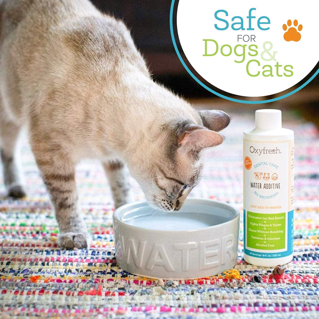 Oxyfresh Premium Pet Dental Care Solution Pet Water Additive: Best Way to Eliminate Bad Dog Breath and Cat Bad Breath - Fights Tartar &amp; Plaque - So Easy, Just Add to Water! Vet Recommended 16 oz.