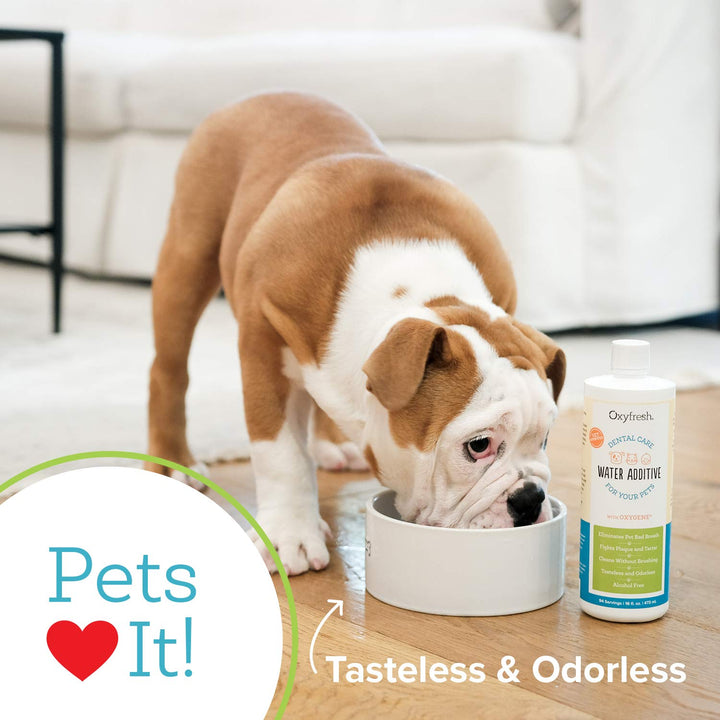 Oxyfresh Premium Pet Dental Care Solution Pet Water Additive – No Brushing