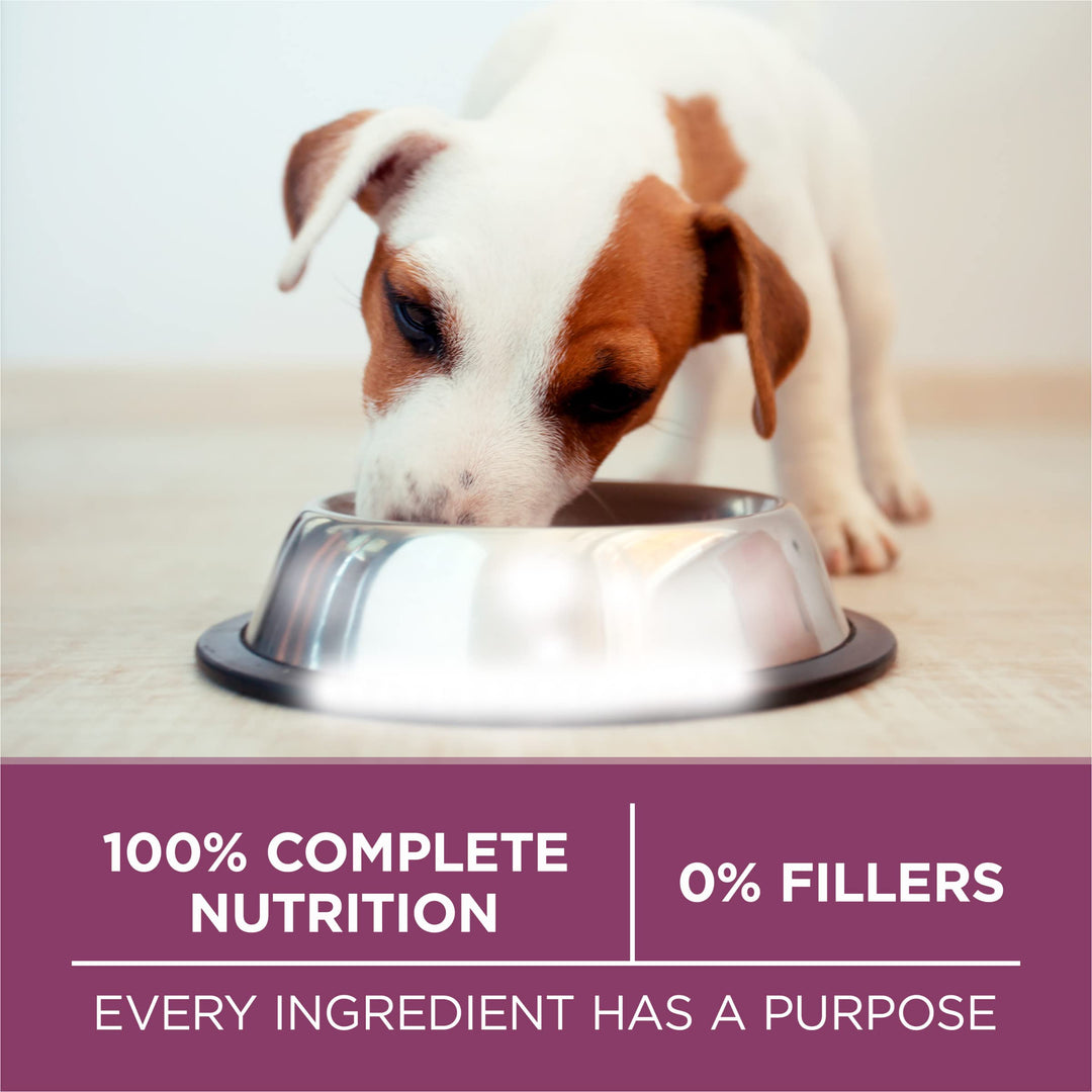 Purina ONE Plus Healthy Puppy Dry Food, Chicken, 31.1 lb Bag
