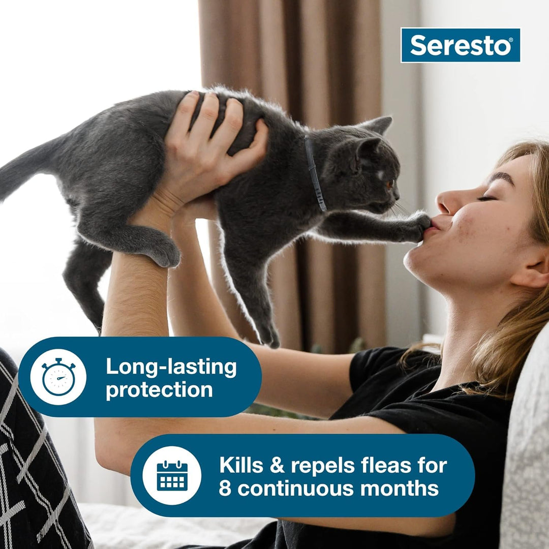 Seresto 8-Month Flea &amp; Tick Collar for Cats &amp; Kittens, 2ct