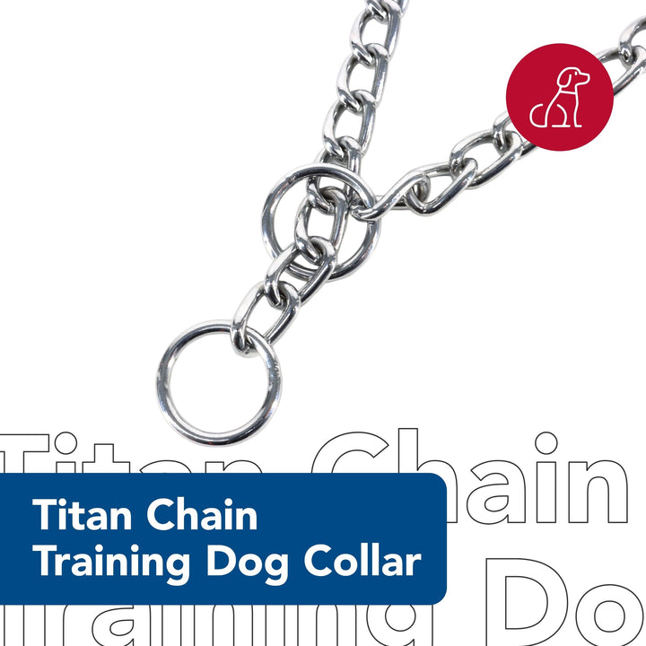 Coastal Pet Titan Chain Training Dog Collar, 4 mm x 24"
